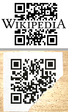 distorted QR Codes